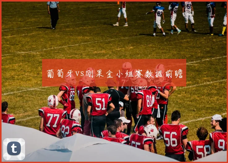 葡萄牙vs刚果金小组赛数据前瞻